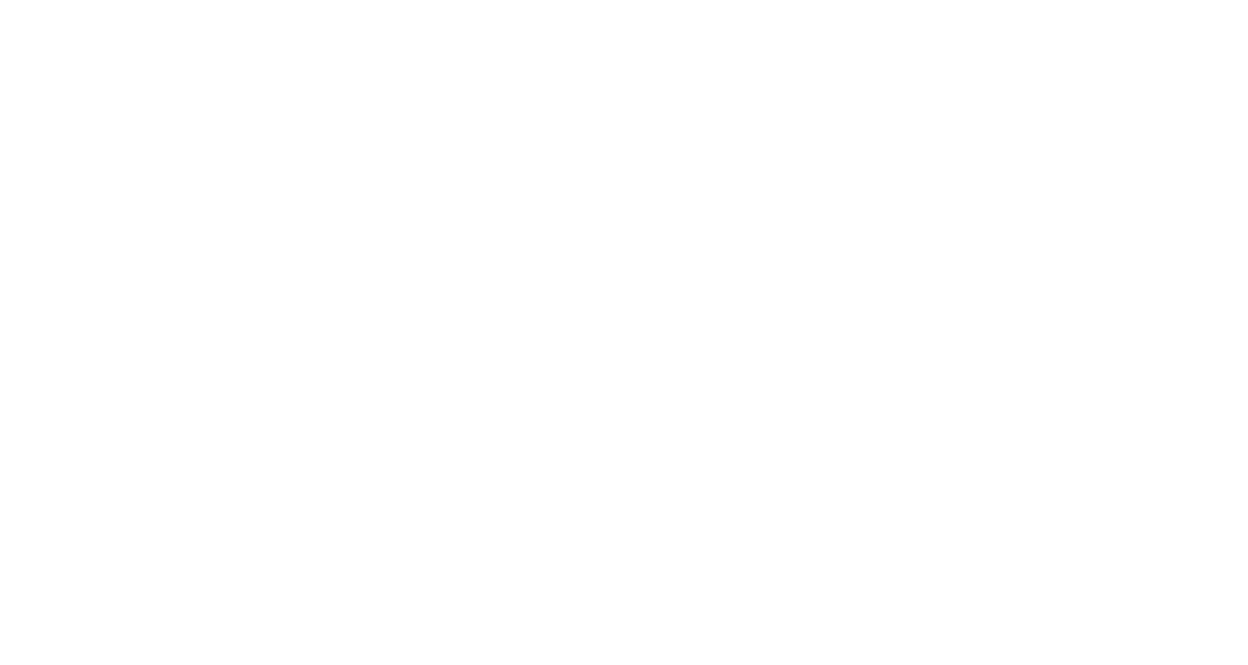 Salveaurora Logo